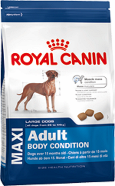 Royal canin  Indoor _7 Dry Cats Food